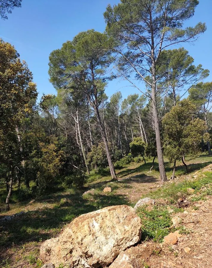 Les Hauts du Peireguier La Motte Couette-café